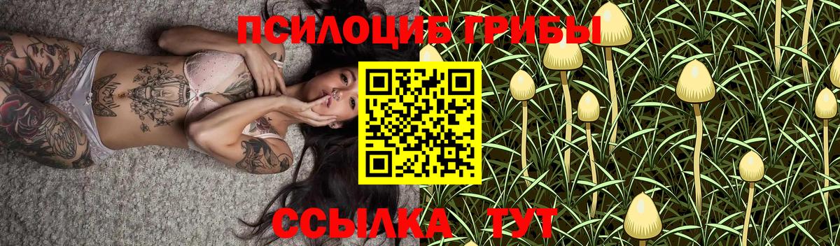 Псилоцибиновые грибы прущие грибы  где купить   Заринск  Вход с VPN 